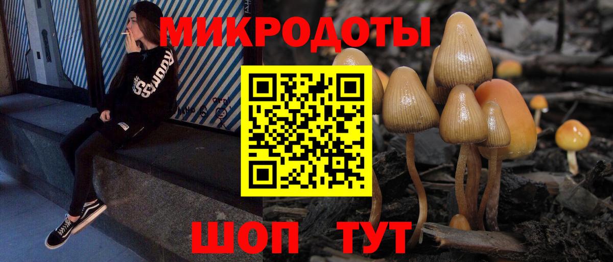 Гуково  Галлюциногенные грибы Psilocybine cubensis  Вход с VPN 